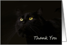 Black Cat on Black by Focus for a Cause card