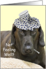 Chocolate Lab Not Feeling Well Card