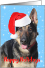 German Shepherd with Santa Hat Christmas card