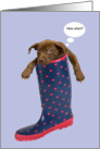 Brown Puppy Stuck in Rain Boot card