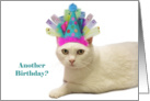 White Cat Wearing Party Hat card