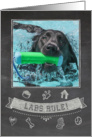 Silver Lab Chalkboard Birthday Card