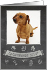 Dachshund Chalkboard Birthday Card