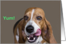 Basset Hound Focus for a Cause, Birthday, Yum! card