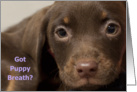 Puppy Birthday Card, Got Puppy Breath? By Focus for a Cause card