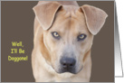 Dog Birthday by Focus for a Cause, Well, I’ll be doggone! card