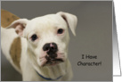 Pit Bull birthday card. Mixed breed birthday card. Focus for a Cause. card