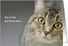 Tabby Cat Birthday Card, Focus for a Cause card