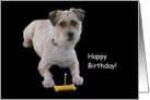 Dog with bone and candle birthday card, Focus for a Cause card