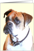 Boxer Dog Blank Note Card by Focus for a Cause card
