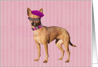 Chihuahua with Beret...