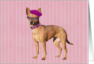 Chihuahua with Beret Blank Card by Focus for a Cause card
