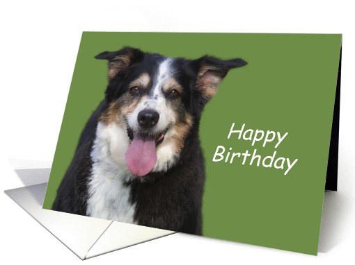 Australian Shepherd Birthday Card by Focus for a Cause card (1106008)