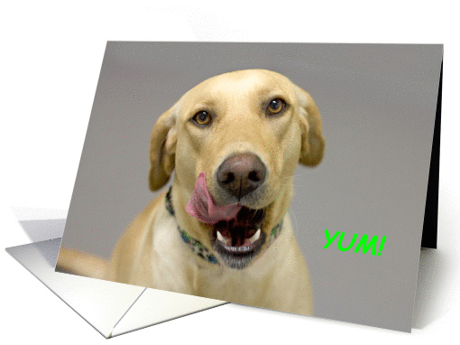 Yellow Lab Birthday Card by Focus for a Cause. card (1111000)