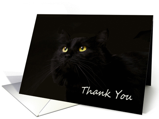 Black Cat on Black by Focus for a Cause card (1137672)