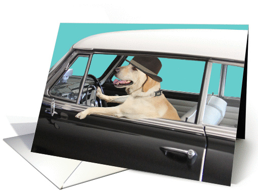 Labrador Retriever Driving Classic Car, Yellow Lab in Classic Car card
