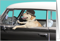 Labrador Retriever Driving Classic Car, Yellow Lab in Classic Car card