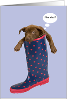 Brown Puppy Stuck in Rain Boot card
