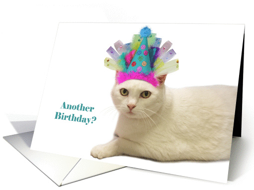 White Cat Wearing Party Hat card (1160558)