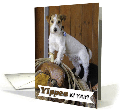 Jack Russell Terrier on Western Saddle card (1186808)