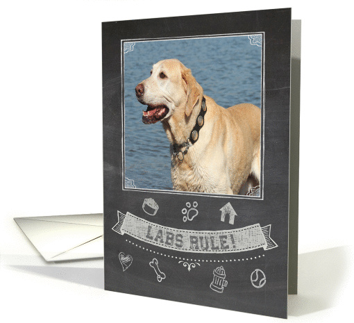 Labs Rule Chalkboard Birthday card (1196138)