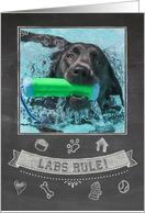 Silver Lab Chalkboard Birthday Card