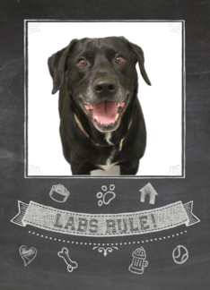 Black Lab Chalkboard...