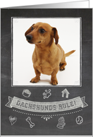 Dachshund Chalkboard Birthday Card