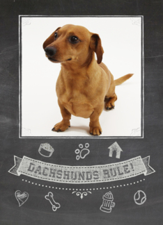 Dachshund Chalkboard...