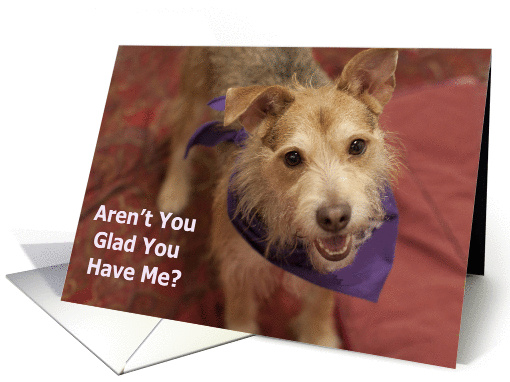 Focus for a Cause Birthday, Aren't you glad you have me? card (934368)