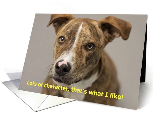 Dog with Character by Focus for a Cause card (934383)