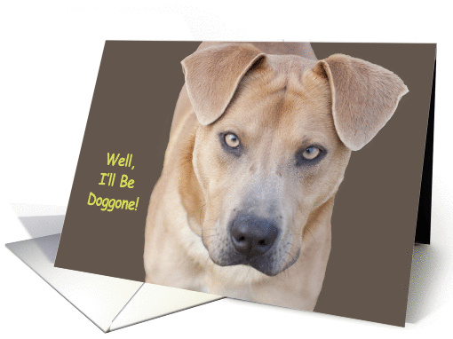 Dog Birthday by Focus for a Cause, Well, I'll be doggone! card