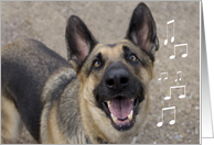 German Shepherd Singing by Focus for a Cause, Birthday card