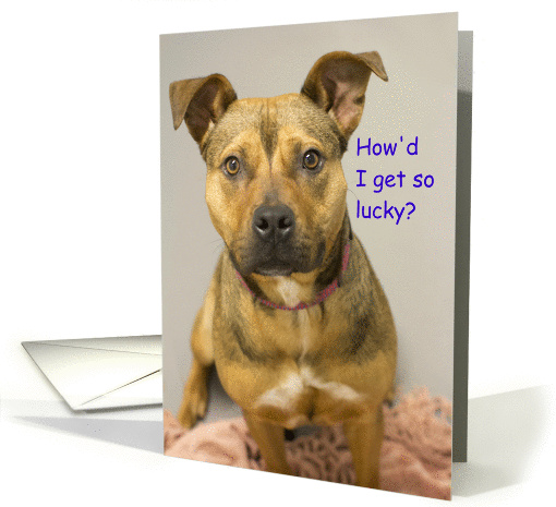Focus for a Cause, How'd I get so lucky, Birthday card (946336)