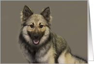 Focus for a Cause, Keeshond Blank Note Card