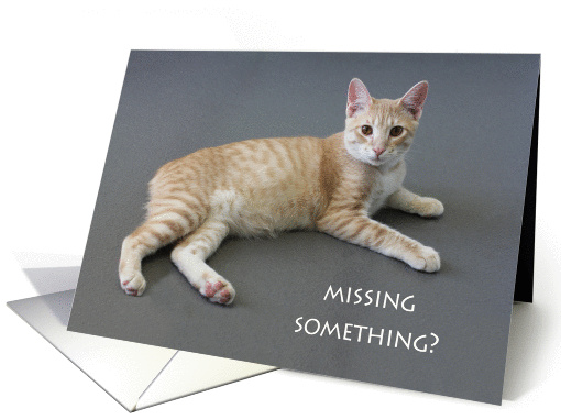 Manx Cat Birthday Card, Focus for a Cause card (973795)