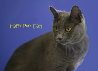 Happy 'Purr' Day,...