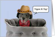 Pom-a-Poo Dog with Cowboy Hat Birthday card, Focus for a Cause card
