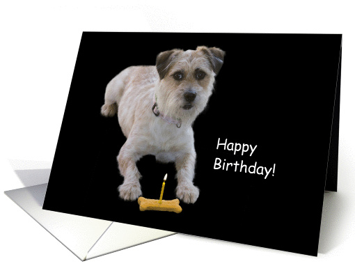 Dog with bone and candle birthday card, Focus for a Cause card