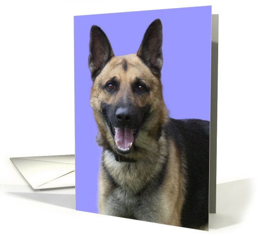 German Shepherd Dog Blank Note Card, Focus for a Cause card (998865)