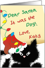 Funny Black Cat - Dear Santa It was the Dog Christmas Card