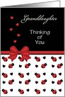 For Granddaughter Cute Red & Black Ladybug Hearts Thinking of You Car card