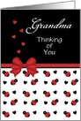 For Grandma- Cute Red and Black Ladybug Hearts Thinking of You Card