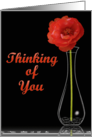 Cousin-Thinking of You- Orange Flower in Vase card