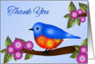 Thank You, Bluebird on Flowering Tree Branch, Blank card