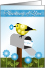 Thinking of You, Aunt, Black and Yellow Bird (Goldfinch) on Maibox, card