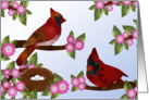 Pair of Cardinals and Nest, Blank card