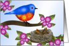 Bluebird and Babies in Nest, Blank Note card