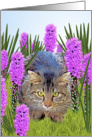 Cat Hiding in Flower Garden, Blank, Note card