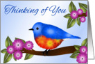 Bluebird and Pink Flowers, Thinking of You, Grandma card